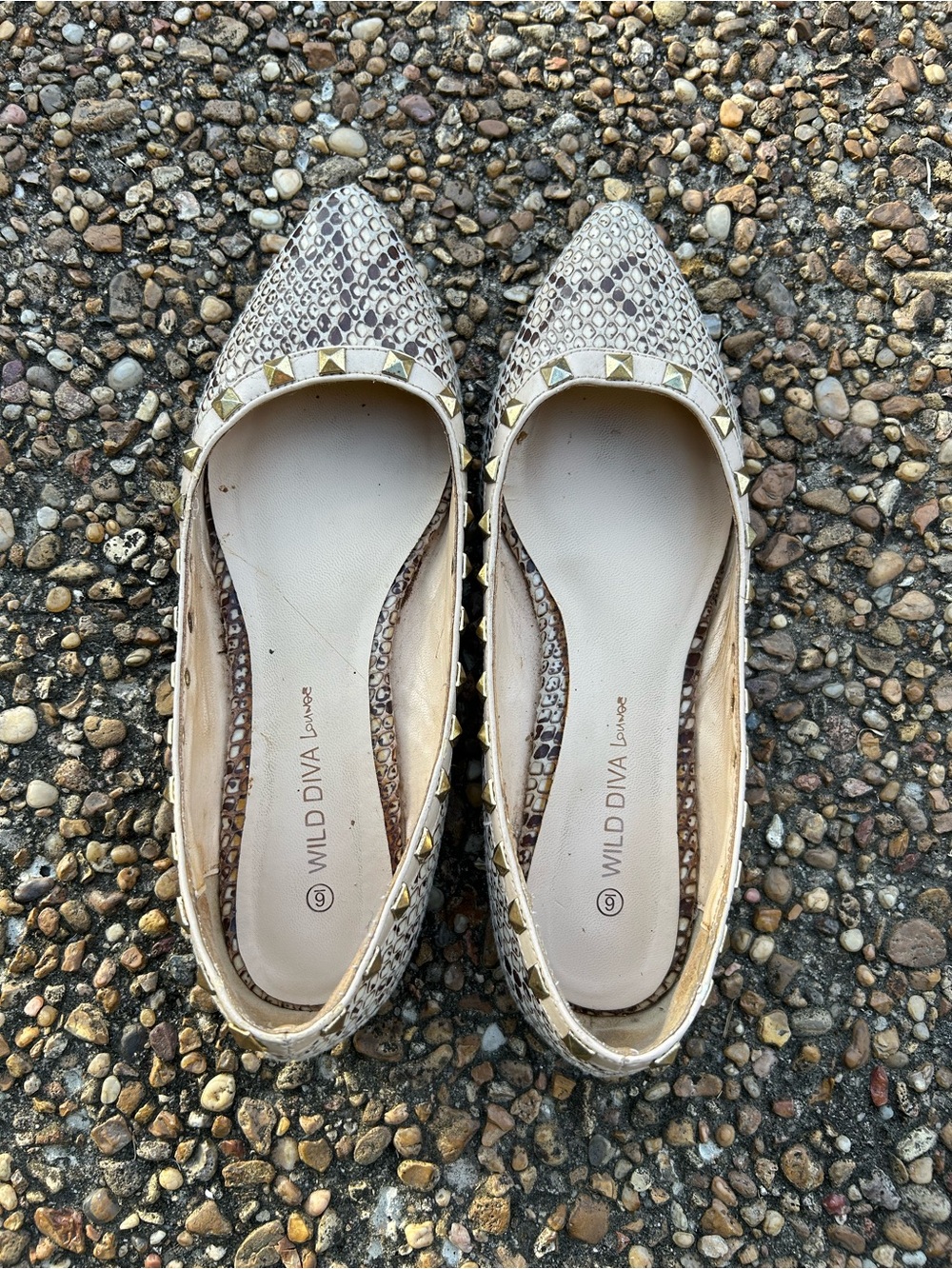 DIVA Lounge Neutral Snake-Print Pointed Flats with Gold Stud Trim